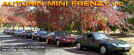 Autumn Mini Frenzy Pictures by Nick McKenna