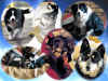 fam_02.jpg (121674 bytes)