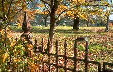 Hahndorf Park in the Adelaide Hills